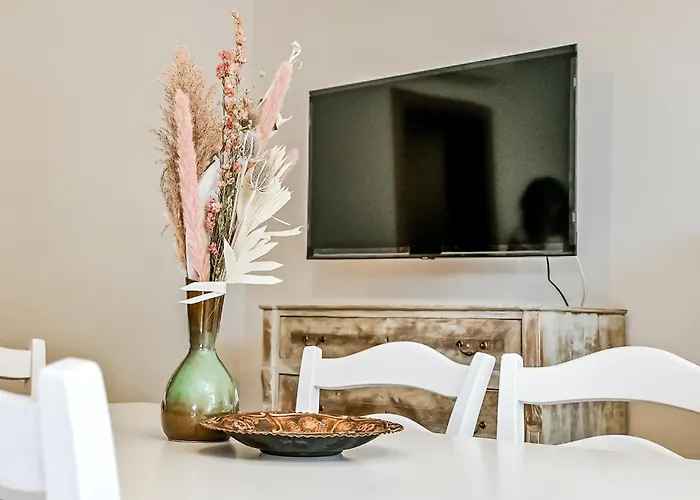 Alloggio per agriturismo Bolgheri24 Castagneto Carducci